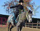 Badyhoeve is een terrein dat tot 3kinderen en hun pony's met de hond Djackson behoort.