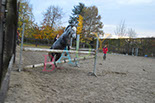 Badyhoeve is een terrein dat tot 3kinderen en hun pony's met de hond Djackson behoort.