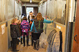 Badyhoeve is een terrein dat tot 3kinderen en hun pony's met de hond Djackson behoort.