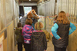 Badyhoeve is een terrein dat tot 3kinderen en hun pony's met de hond Djackson behoort.