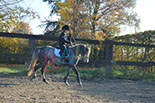 Badyhoeve is een terrein dat tot 3kinderen en hun pony's met de hond Djackson behoort.