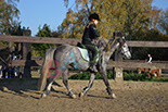 Badyhoeve is een terrein dat tot 3kinderen en hun pony's met de hond Djackson behoort.