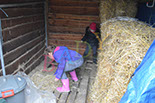 Badyhoeve is een terrein dat tot 3kinderen en hun pony's met de hond Djackson behoort.