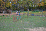 Badyhoeve is een terrein dat tot 3kinderen en hun pony's met de hond Djackson behoort.