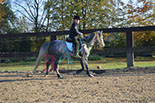 Badyhoeve is een terrein dat tot 3kinderen en hun pony's met de hond Djackson behoort.