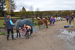 Badyhoeve is een terrein dat tot 3kinderen en hun pony's met de hond Djackson behoort.