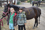 Badyhoeve is een terrein dat tot 3kinderen en hun pony's met de hond Djackson behoort.