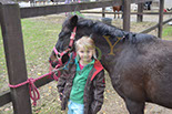 Badyhoeve is een terrein dat tot 3kinderen en hun pony's met de hond Djackson behoort.