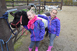 Badyhoeve is een terrein dat tot 3kinderen en hun pony's met de hond Djackson behoort.