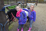 Badyhoeve is een terrein dat tot 3kinderen en hun pony's met de hond Djackson behoort.