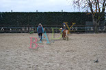 Badyhoeve is een terrein dat tot 3kinderen en hun pony's met de hond Djackson behoort.