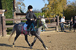 Badyhoeve is een terrein dat tot 3kinderen en hun pony's met de hond Djackson behoort.