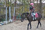 Badyhoeve is een terrein dat tot 3kinderen en hun pony's met de hond Djackson behoort.
