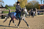 Badyhoeve is een terrein dat tot 3kinderen en hun pony's met de hond Djackson behoort.