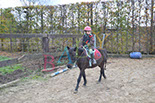 Badyhoeve is een terrein dat tot 3kinderen en hun pony's met de hond Djackson behoort.