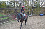 Badyhoeve is een terrein dat tot 3kinderen en hun pony's met de hond Djackson behoort.