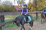 Badyhoeve is een terrein dat tot 3kinderen en hun pony's met de hond Djackson behoort.