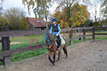 Badyhoeve is een terrein dat tot 3kinderen en hun pony's met de hond Djackson behoort.