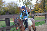 Badyhoeve is een terrein dat tot 3kinderen en hun pony's met de hond Djackson behoort.