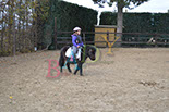 Badyhoeve is een terrein dat tot 3kinderen en hun pony's met de hond Djackson behoort.
