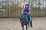 Badyhoeve is een terrein dat tot 3kinderen en hun pony's met de hond Djackson behoort.