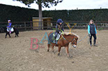 Badyhoeve is een terrein dat tot 3kinderen en hun pony's met de hond Djackson behoort.