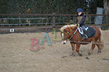 Badyhoeve is een terrein dat tot 3kinderen en hun pony's met de hond Djackson behoort.