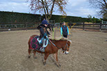Badyhoeve is een terrein dat tot 3kinderen en hun pony's met de hond Djackson behoort.