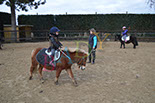 Badyhoeve is een terrein dat tot 3kinderen en hun pony's met de hond Djackson behoort.