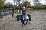Badyhoeve is een terrein dat tot 3kinderen en hun pony's met de hond Djackson behoort.