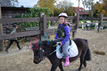 Badyhoeve is een terrein dat tot 3kinderen en hun pony's met de hond Djackson behoort.