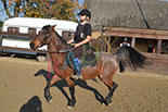 Badyhoeve is een terrein dat tot 3kinderen en hun pony's met de hond Djackson behoort.