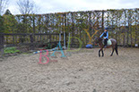 Badyhoeve is een terrein dat tot 3kinderen en hun pony's met de hond Djackson behoort.