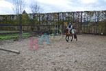 Badyhoeve is een terrein dat tot 3kinderen en hun pony's met de hond Djackson behoort.