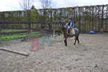 Badyhoeve is een terrein dat tot 3kinderen en hun pony's met de hond Djackson behoort.