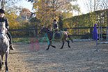 Badyhoeve is een terrein dat tot 3kinderen en hun pony's met de hond Djackson behoort.