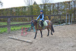 Badyhoeve is een terrein dat tot 3kinderen en hun pony's met de hond Djackson behoort.