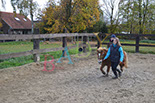 Badyhoeve is een terrein dat tot 3kinderen en hun pony's met de hond Djackson behoort.