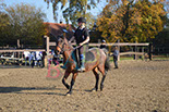 Badyhoeve is een terrein dat tot 3kinderen en hun pony's met de hond Djackson behoort.