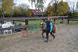 Badyhoeve is een terrein dat tot 3kinderen en hun pony's met de hond Djackson behoort.