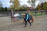 Badyhoeve is een terrein dat tot 3kinderen en hun pony's met de hond Djackson behoort.