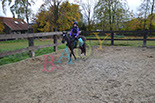 Badyhoeve is een terrein dat tot 3kinderen en hun pony's met de hond Djackson behoort.