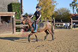 Badyhoeve is een terrein dat tot 3kinderen en hun pony's met de hond Djackson behoort.
