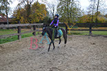 Badyhoeve is een terrein dat tot 3kinderen en hun pony's met de hond Djackson behoort.