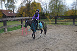 Badyhoeve is een terrein dat tot 3kinderen en hun pony's met de hond Djackson behoort.
