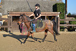 Badyhoeve is een terrein dat tot 3kinderen en hun pony's met de hond Djackson behoort.