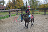 Badyhoeve is een terrein dat tot 3kinderen en hun pony's met de hond Djackson behoort.