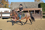 Badyhoeve is een terrein dat tot 3kinderen en hun pony's met de hond Djackson behoort.