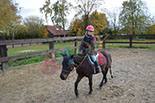 Badyhoeve is een terrein dat tot 3kinderen en hun pony's met de hond Djackson behoort.