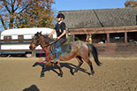 Badyhoeve is een terrein dat tot 3kinderen en hun pony's met de hond Djackson behoort.